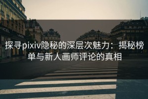探寻pixiv隐秘的深层次魅力：揭秘榜单与新人画师评论的真相