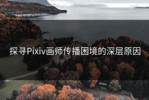 探寻Pixiv画师传播困境的深层原因