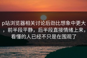p站浏览器相关讨论后劲比想象中更大，前半段平静，后半段直接情绪上来，看懂的人已经不只是在围观了