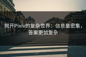 揭开Pixiv的复杂世界：信息量密集，答案更加复杂