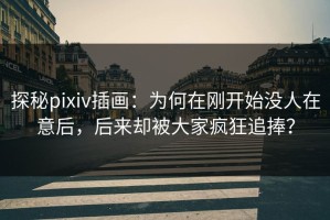 探秘pixiv插画：为何在刚开始没人在意后，后来却被大家疯狂追捧？