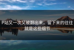 P站又一次又被翻出来，留下来的往往就是这些细节