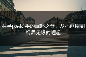 探寻p站助手的崛起之谜：从插画圈到视界无垠的崛起