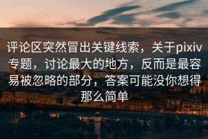评论区突然冒出关键线索，关于pixiv专题，讨论最大的地方，反而是最容易被忽略的部分，答案可能没你想得那么简单