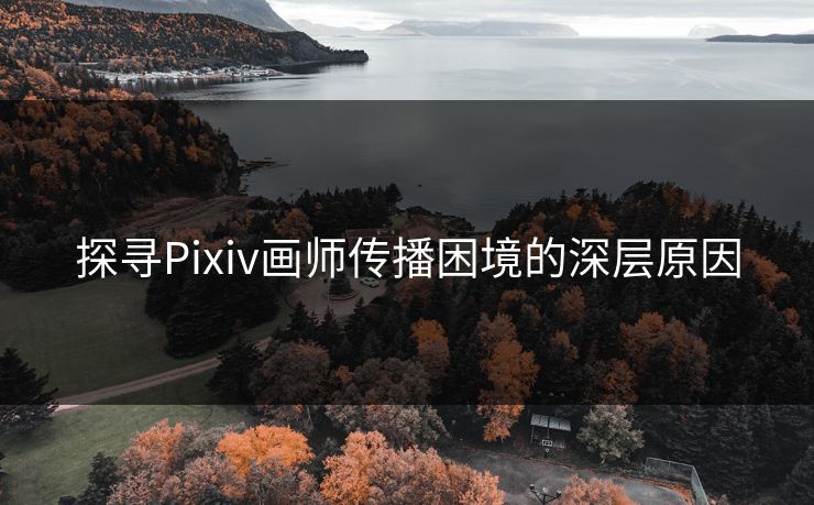 探寻Pixiv画师传播困境的深层原因
