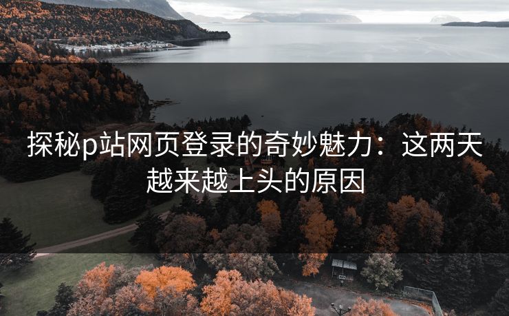 探秘p站网页登录的奇妙魅力：这两天越来越上头的原因